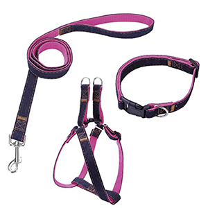 Dog Collars and Leashes